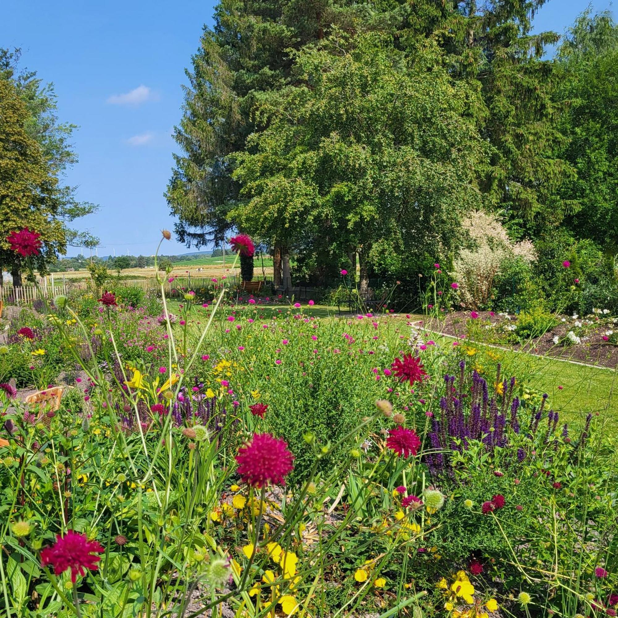 Komfort Ferienwohnungen Mit Wellness-Garten - Gaestehaus Am Bachlauf - Losheim Am See Exterior photo